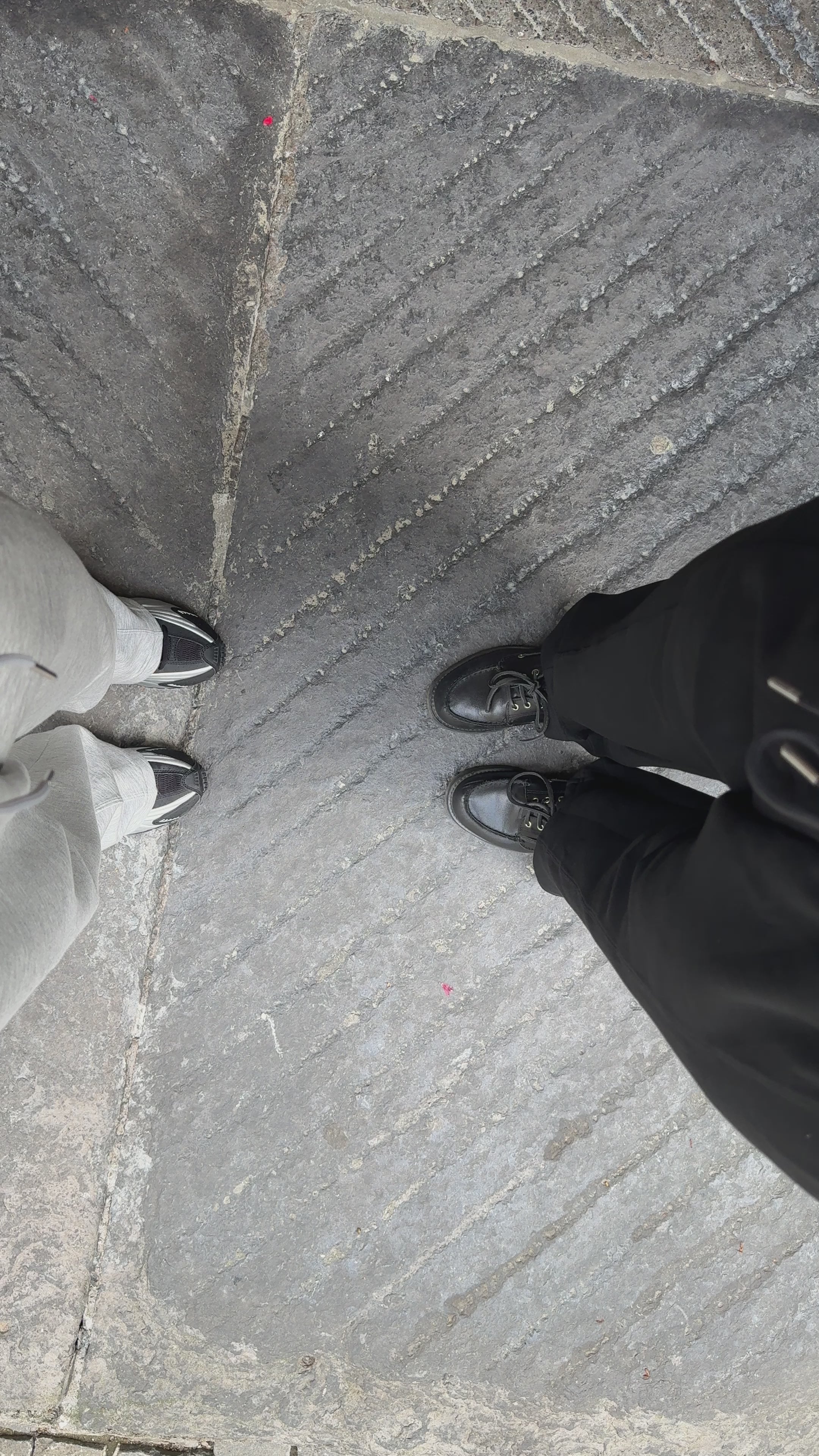 Wide Leg Pants - Black